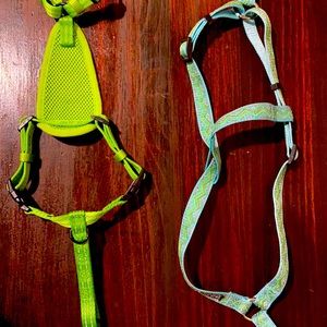 Dog Harness